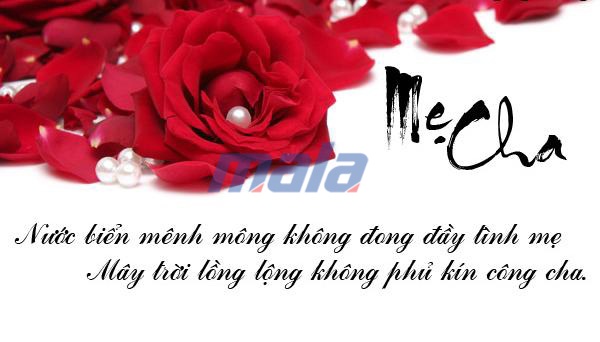 1001 câu nói về cha mẹ và con cái hay ý nghĩa sâu sắc thấm thía nhất đừng bỏ qua