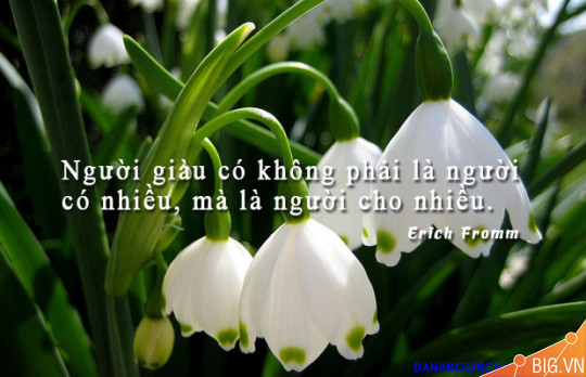 Những câu nói hay về tiền hài hước hay nhất khiến bạn cười không nhặt được mồm
