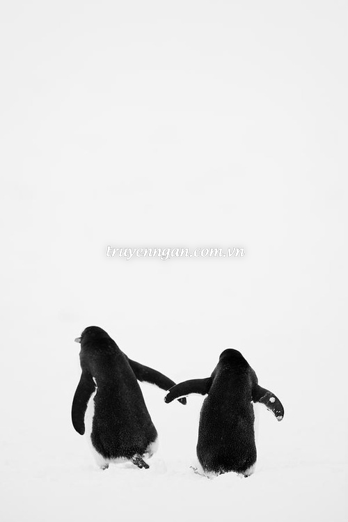 Ghen...