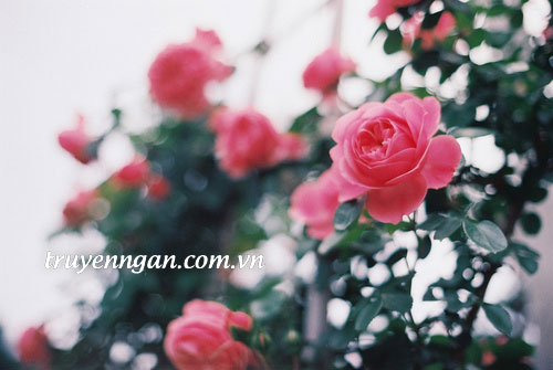 Lời nói dối của tuổi 17