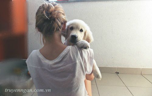 Nhiều năm về sau