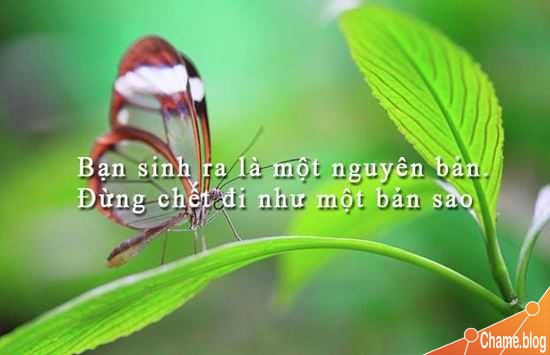 Những câu nói hay về cuộc sống đầy ý nghĩa &#8211; Stt ý nghĩa nhất về cuộc sống đáng suy ngẫm