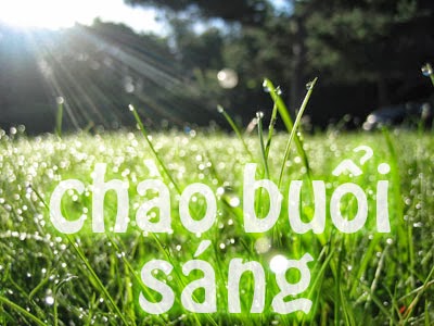 Những lời chúc buổi sáng ngọt ngào và lãng mạn nhất cho người yêu