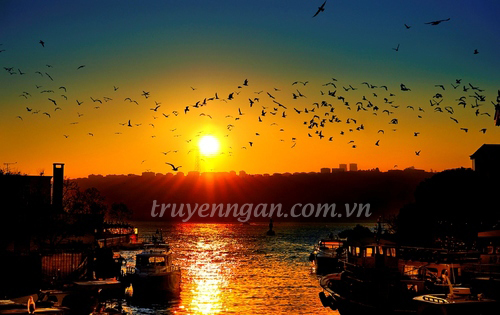 Tám Nhắc ơi, Tám Nhắc à!