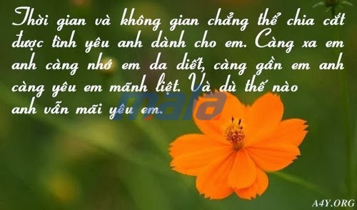 1001 Stt tình yêu hay nhất &#8211; Những câu nói hay về tình yêu ngọt ngào lãng mạn trên Fb 2018